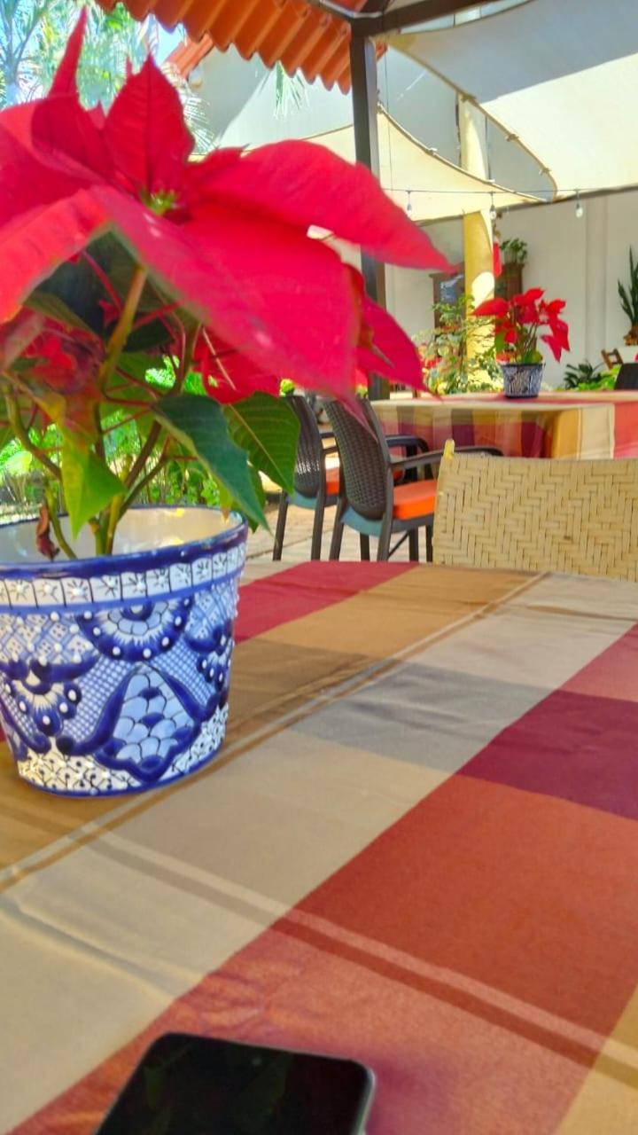 Quinta Rosita Bed and Breakfast Ticul Εξωτερικό φωτογραφία