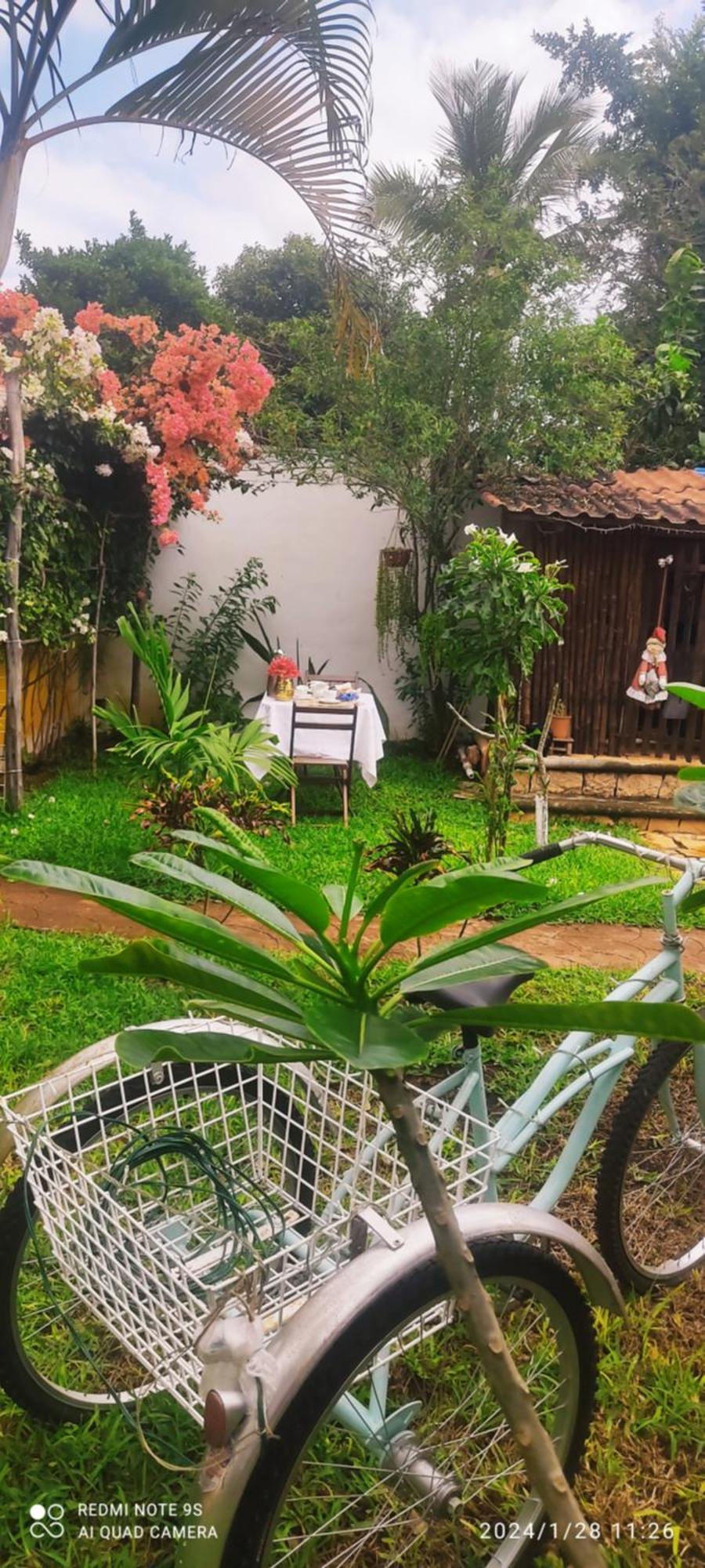 Quinta Rosita Bed and Breakfast Ticul Εξωτερικό φωτογραφία
