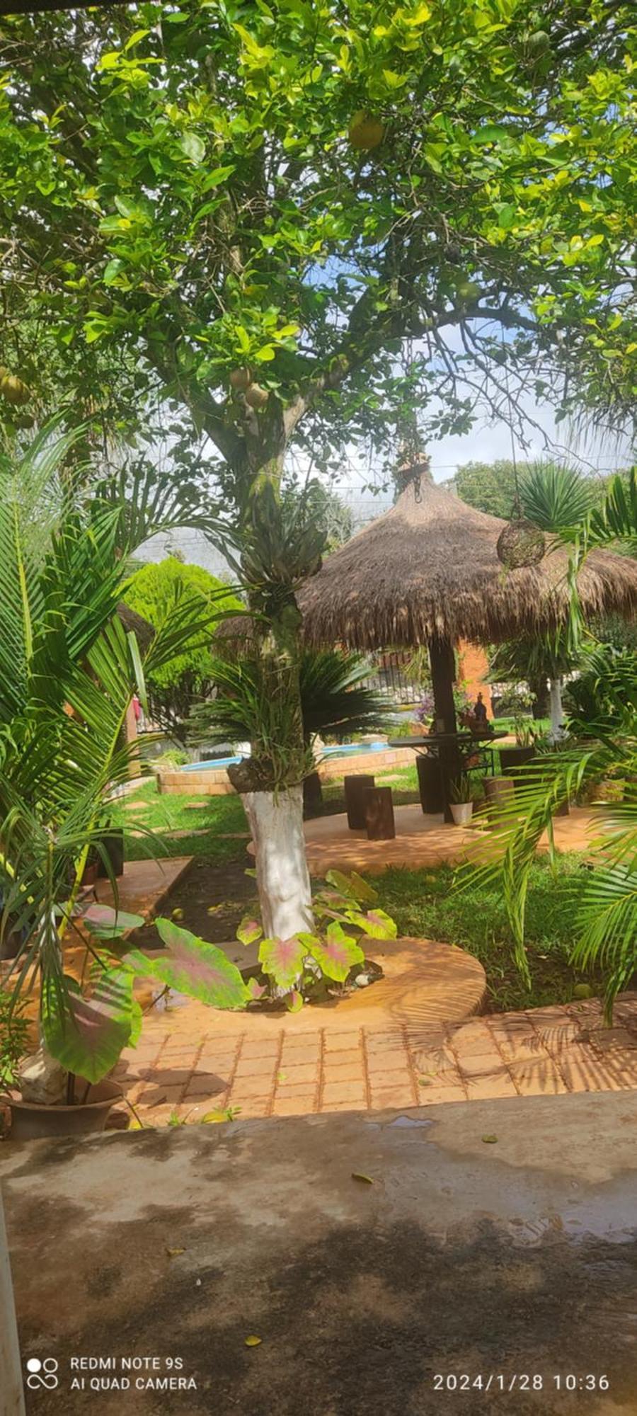 Quinta Rosita Bed and Breakfast Ticul Εξωτερικό φωτογραφία