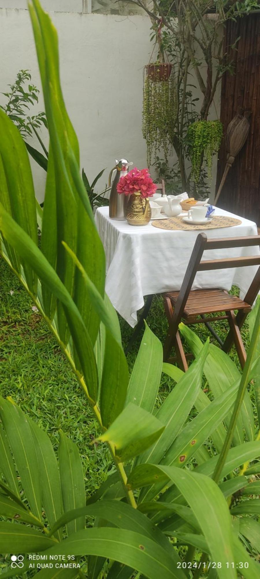 Quinta Rosita Bed and Breakfast Ticul Εξωτερικό φωτογραφία
