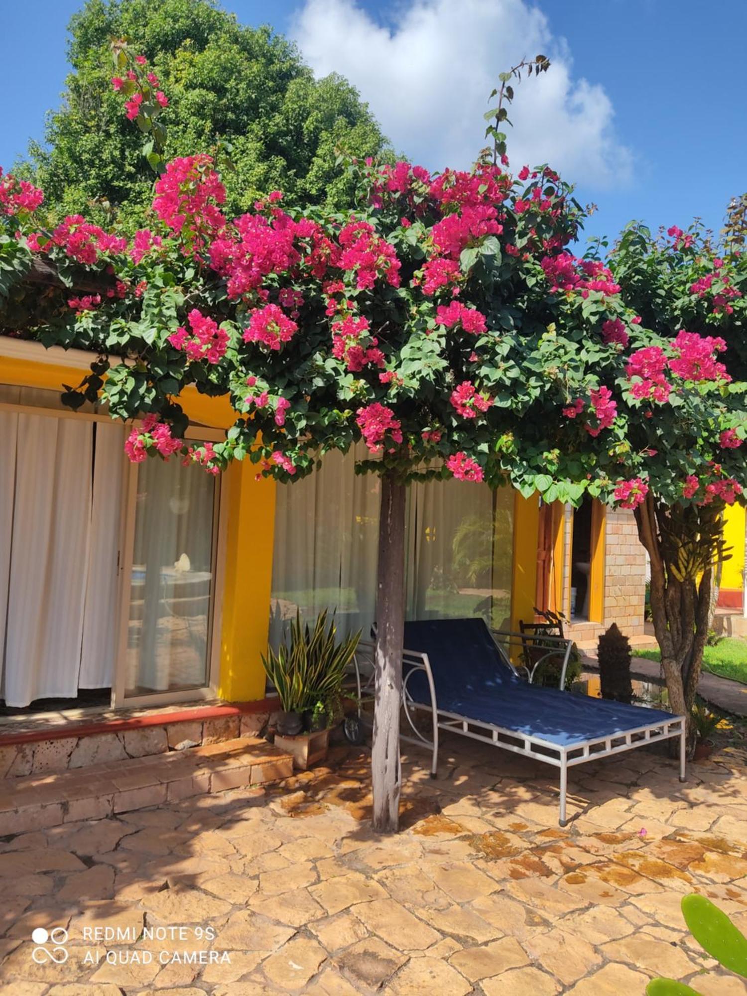 Quinta Rosita Bed and Breakfast Ticul Εξωτερικό φωτογραφία