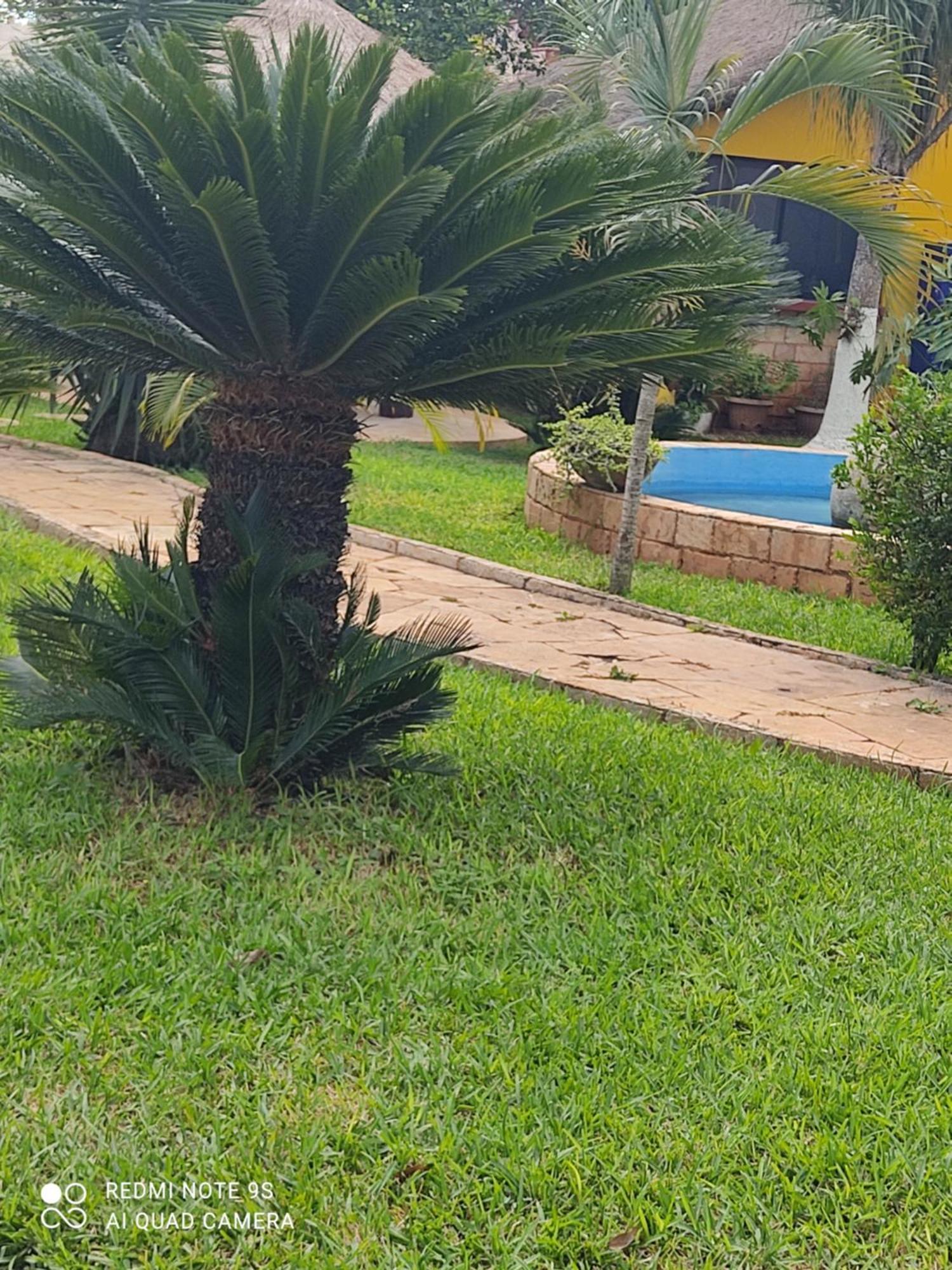 Quinta Rosita Bed and Breakfast Ticul Εξωτερικό φωτογραφία