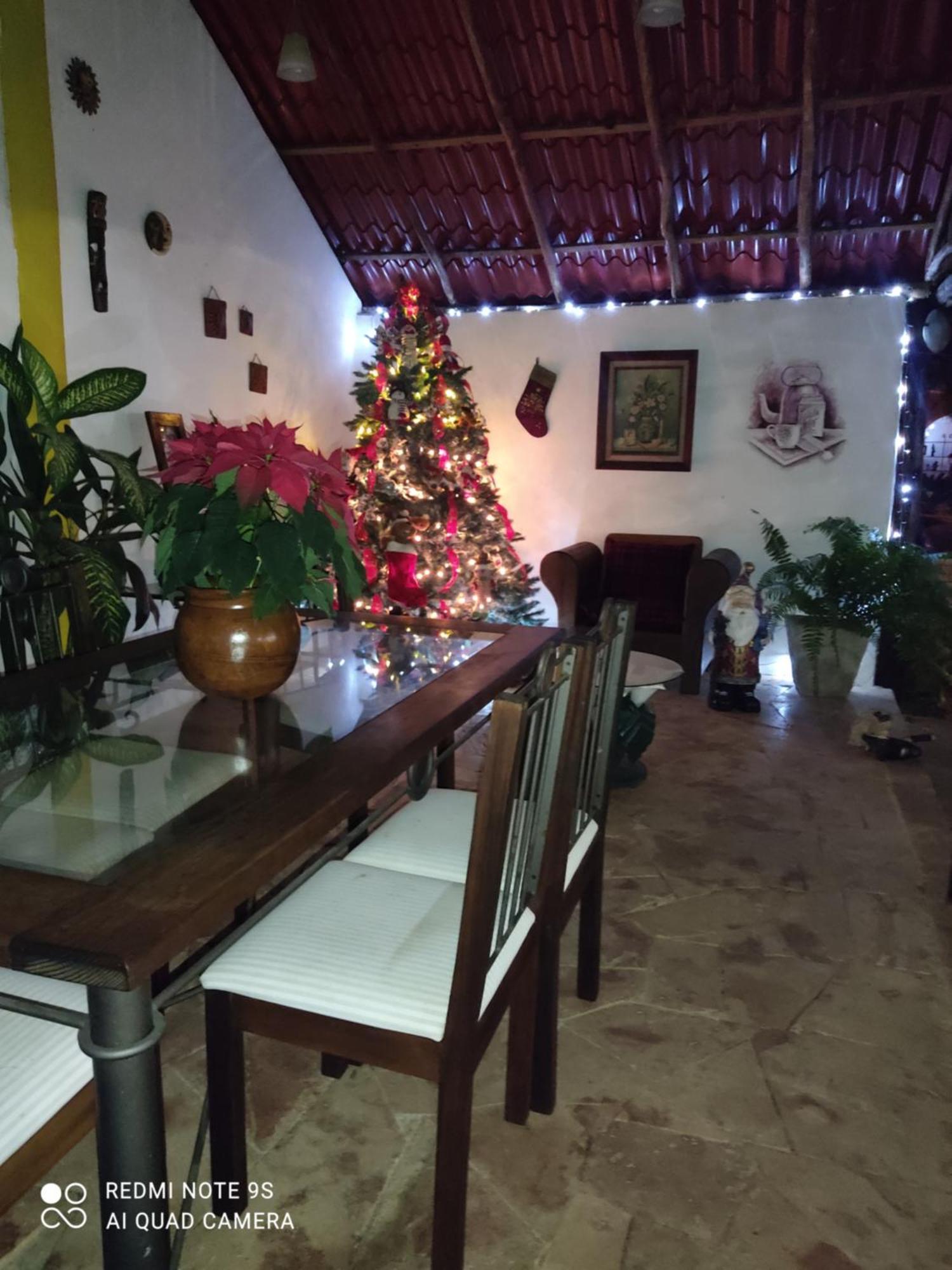 Quinta Rosita Bed and Breakfast Ticul Εξωτερικό φωτογραφία