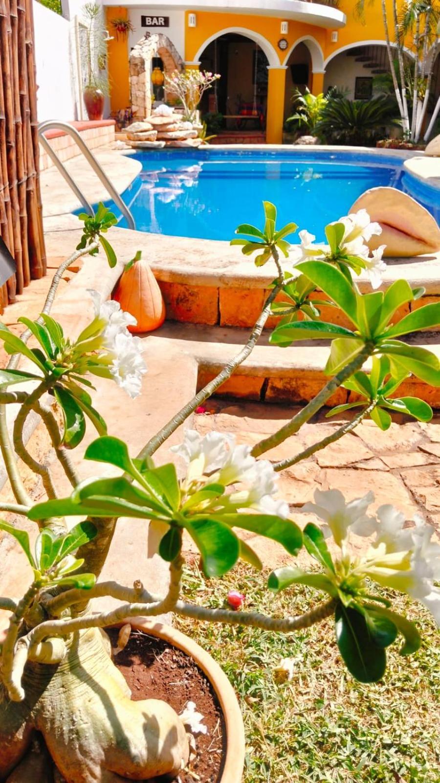 Quinta Rosita Bed and Breakfast Ticul Εξωτερικό φωτογραφία
