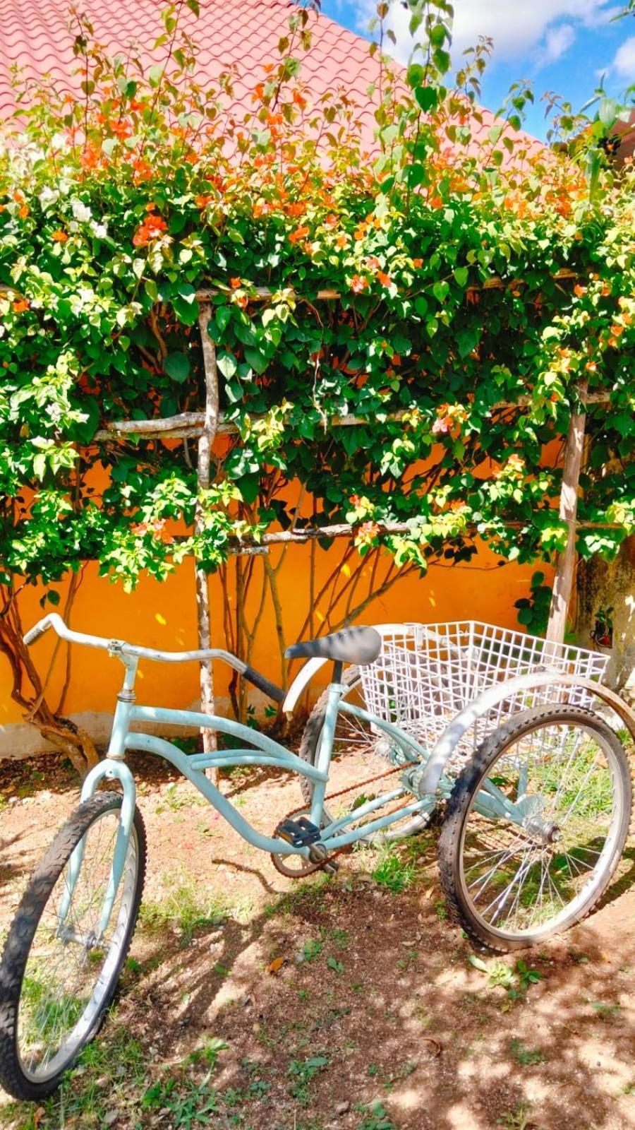 Quinta Rosita Bed and Breakfast Ticul Εξωτερικό φωτογραφία