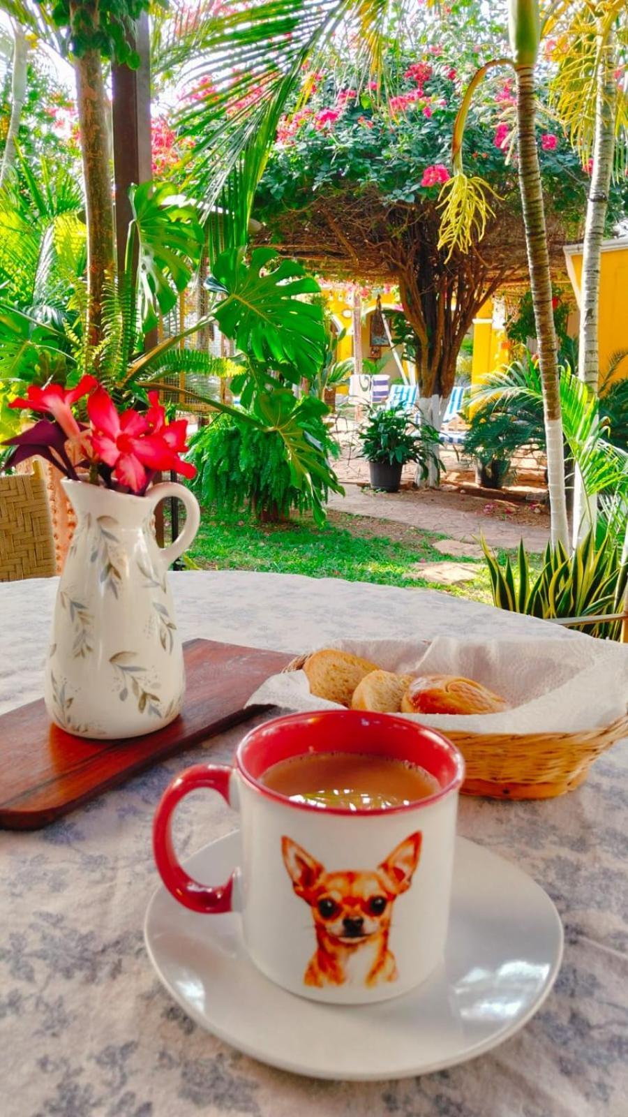 Quinta Rosita Bed and Breakfast Ticul Εξωτερικό φωτογραφία